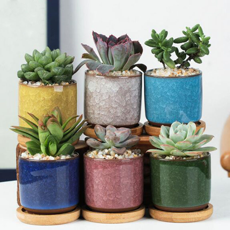 Plant Desk Mini - 6pcs/set Ceramic Flowerpot Set Mini Thumb