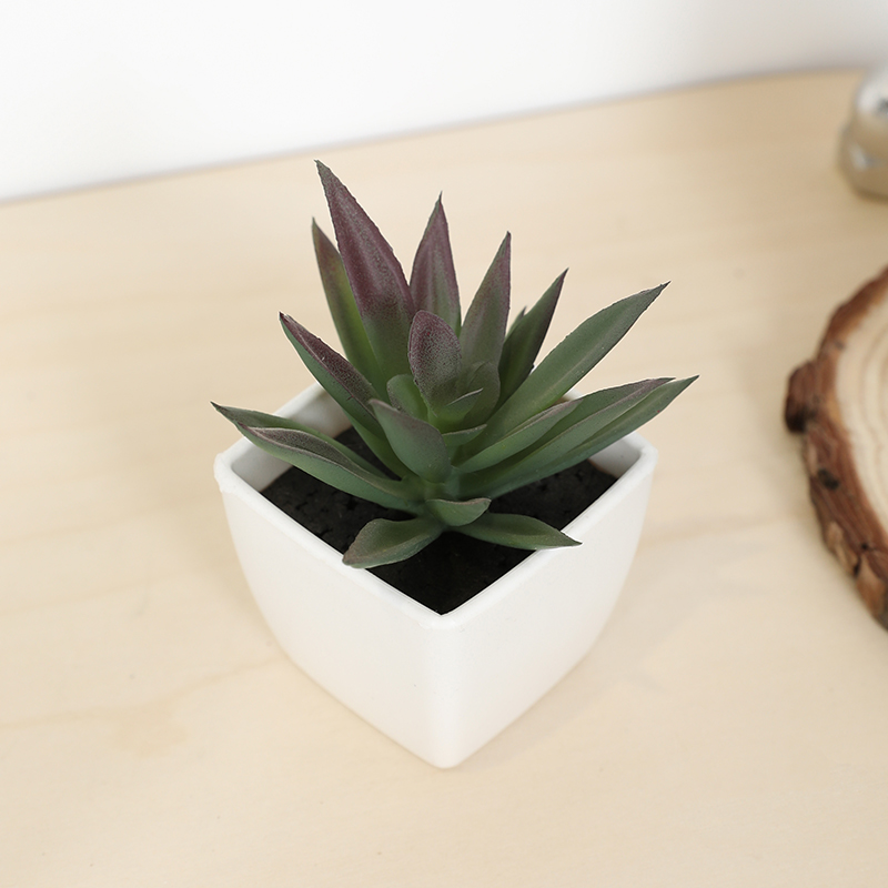 Plant Desk Mini - Mini Artificial Succulent Fairy Cup Small
