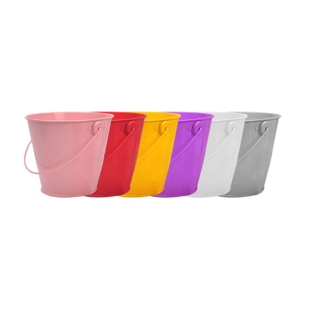 6Pcs Mini Metal Bucket Tin Pai - Plant Desk Mini recension och pris