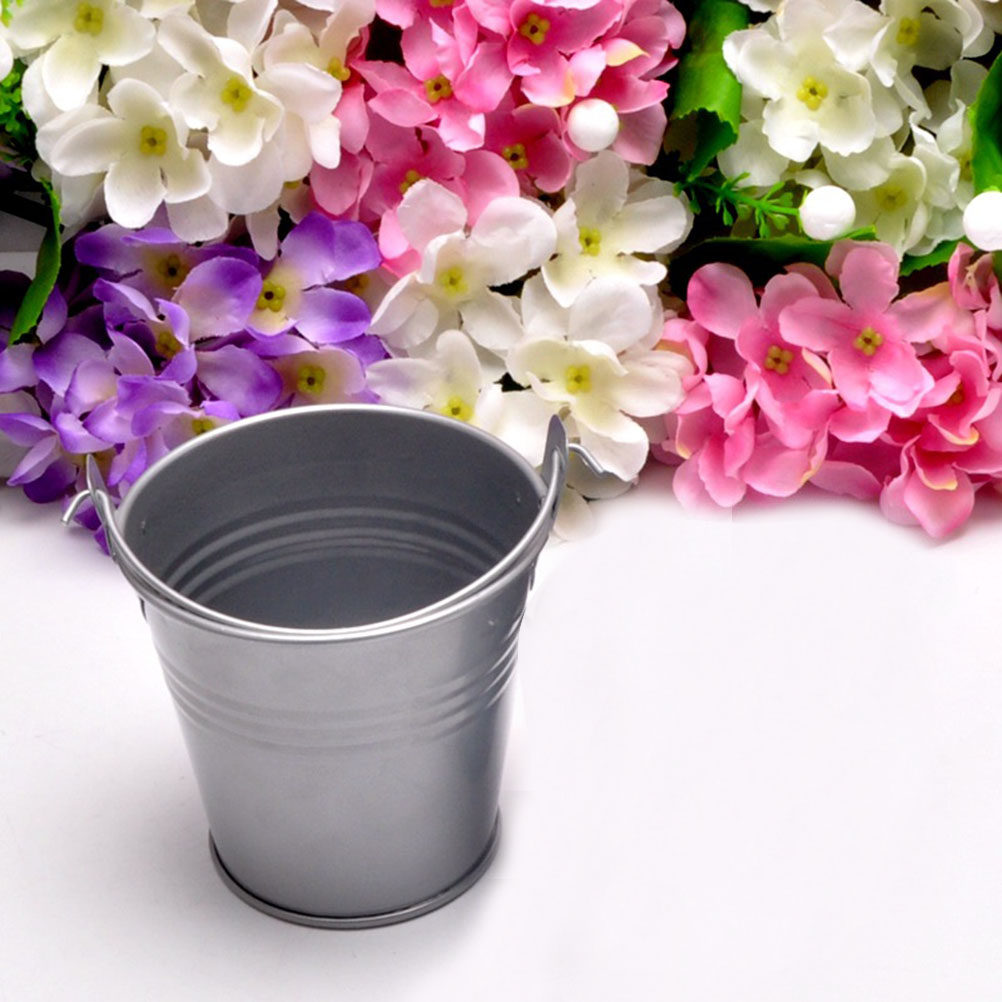 6Pcs Mini Metal Bucket Tin Pai - Plant Desk Mini recension och pris