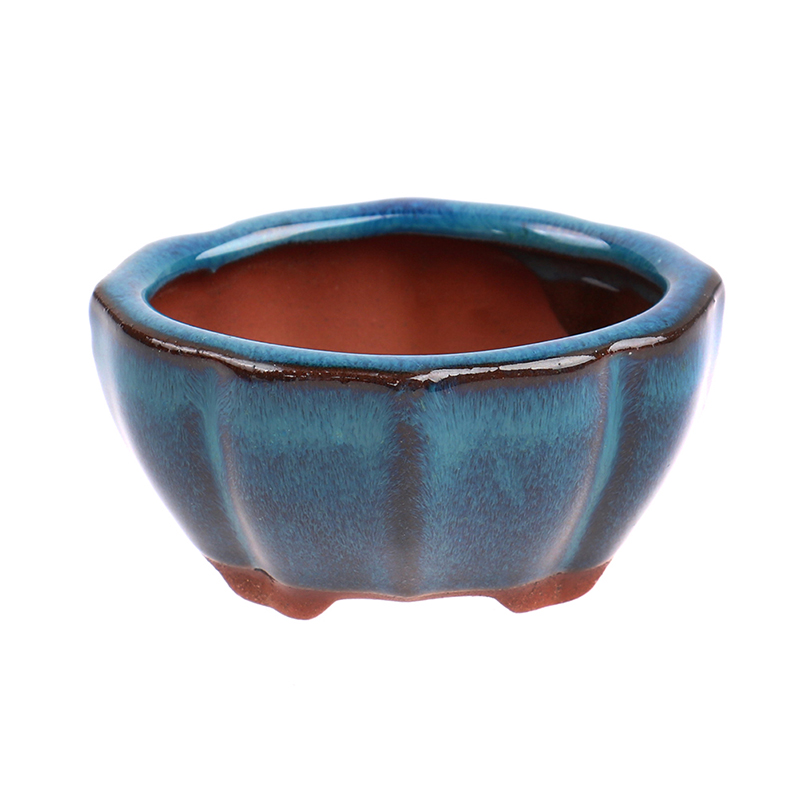 1pcs Bonsai Mini Ceramic Flowe - Plant Desk Mini recension och pris