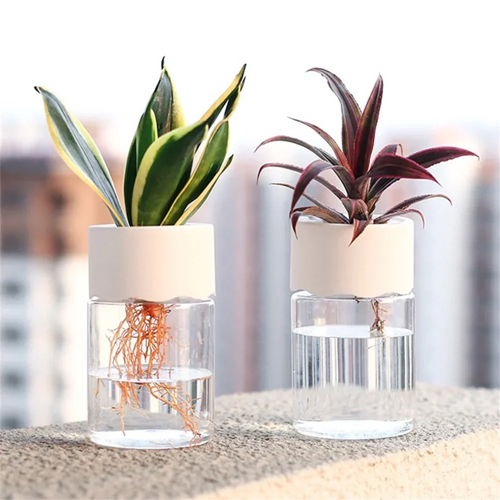 Mini Hydroponic Flower Pot Tra - Plant Desk Mini recension och pris