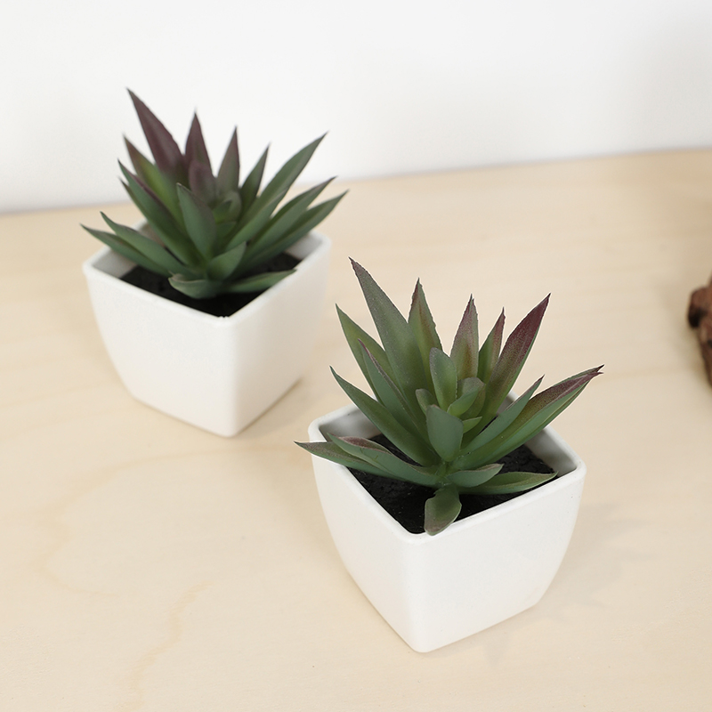 Mini Artificial Succulent Fair - Plant Desk Mini recension och pris