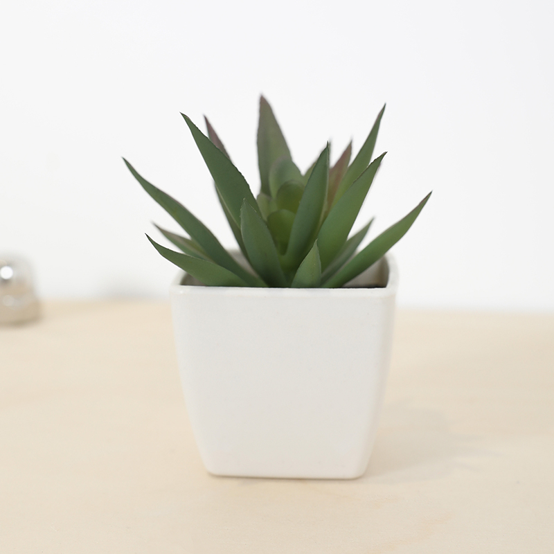 Mini Artificial Succulent Fair - Plant Desk Mini recension och pris